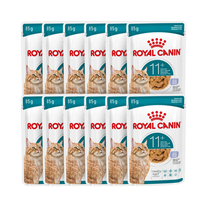 로얄캐닌 캣 에이징 11+ 젤리 파우치 85g 관절 건강 12묶음