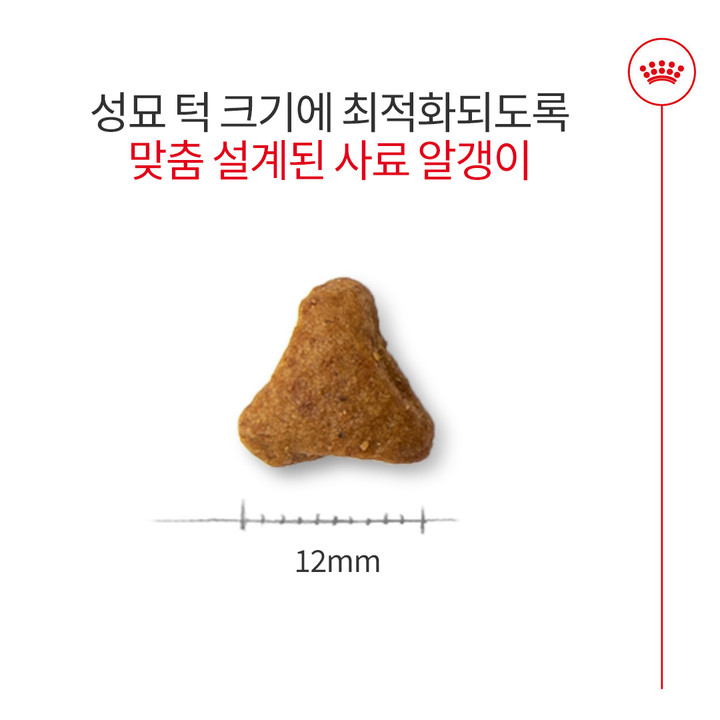 로얄캐닌 인도어 4kg 변냄새 감소