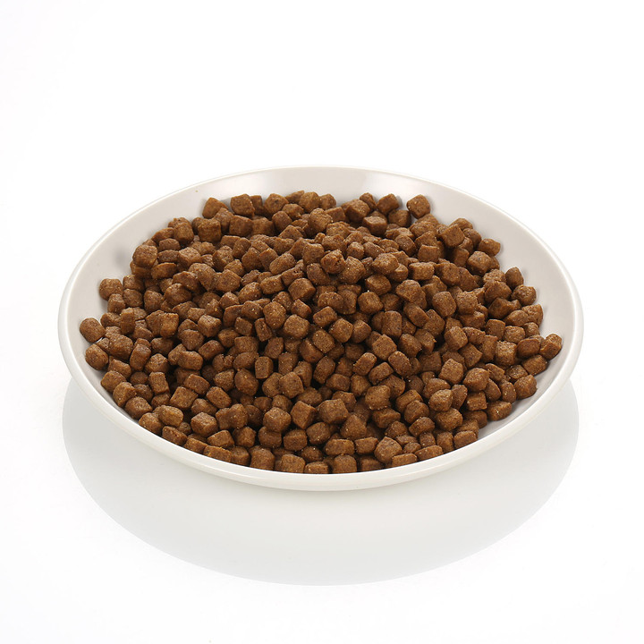 로얄캐닌 캣 페르시안 키튼 4kg