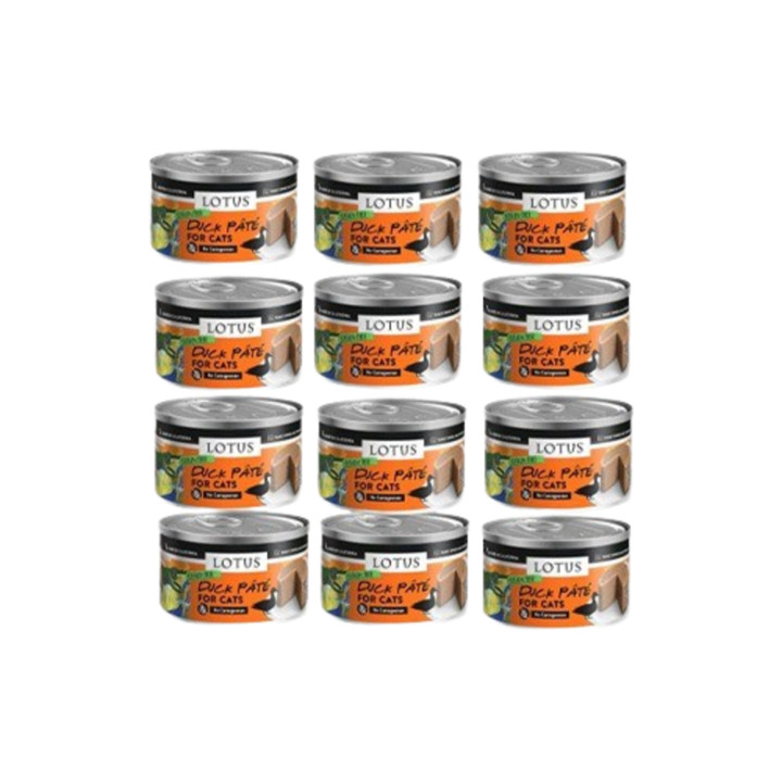 로투스 그레인프리 파테 오리 캔 78g