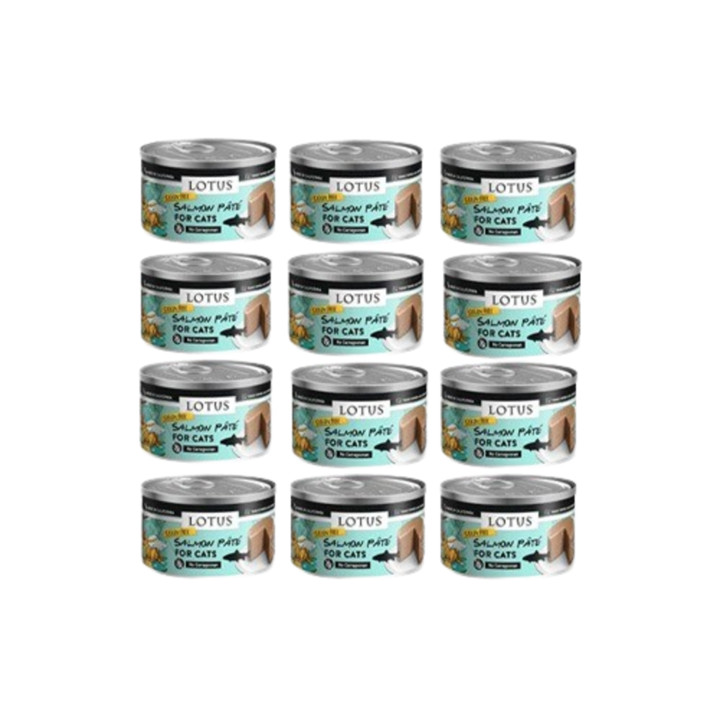 로투스 그레인프리 파테 살몬&야채 캔 78g