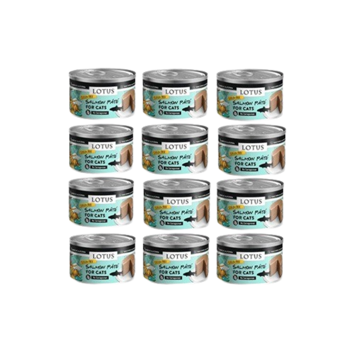 로투스 그레인프리 파테 살몬&야채 캔 78g