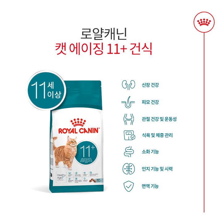 로얄캐닌 캣 에이징 11+ 4kg 관절 건강