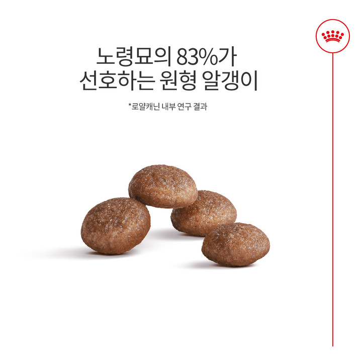 로얄캐닌 캣 에이징 11+ 4kg 관절 건강
