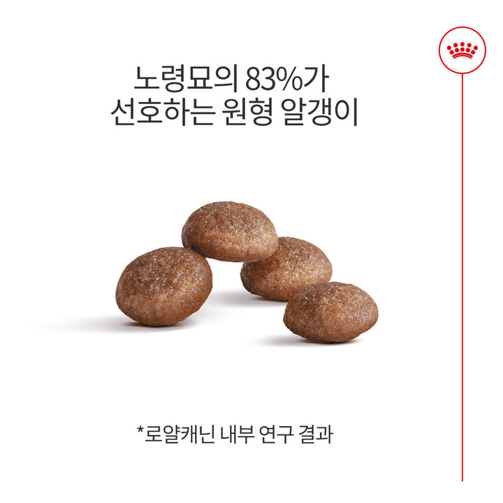 로얄캐닌 캣 에이징 11+ 4kg 관절 건강
