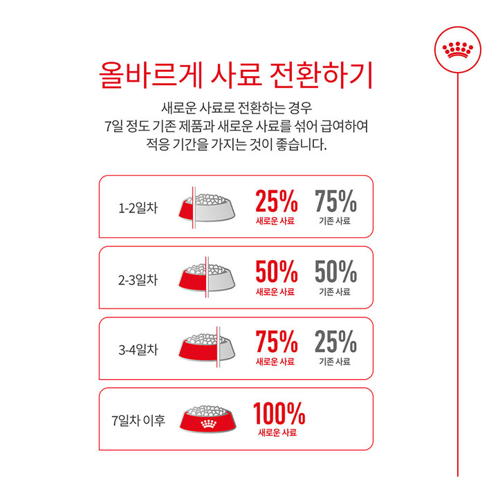 로얄캐닌 캣 에이징 11+ 4kg 관절 건강