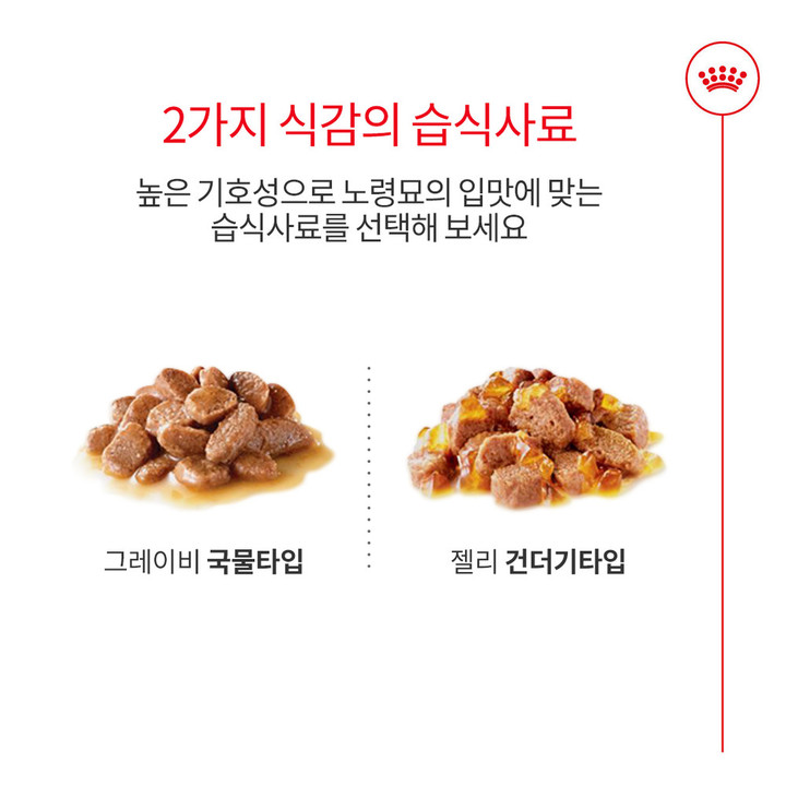로얄캐닌 캣 에이징 11+ 젤리 파우치 85g 관절 건강 12묶음
