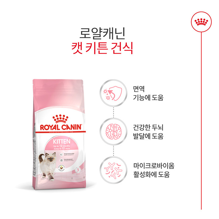 로얄캐닌 키튼 4kg 면역기능 강화