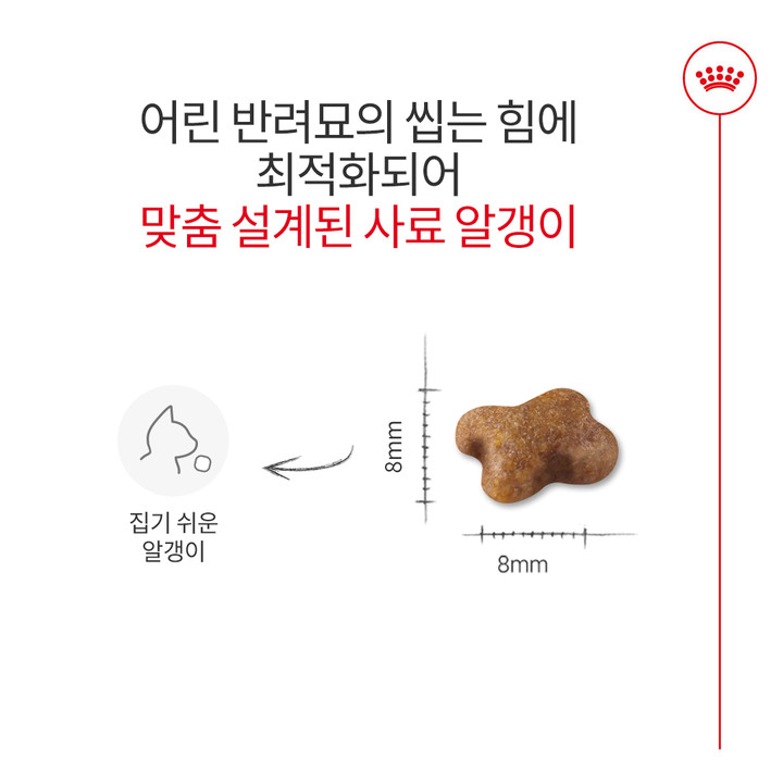 로얄캐닌 키튼 4kg 면역기능 강화