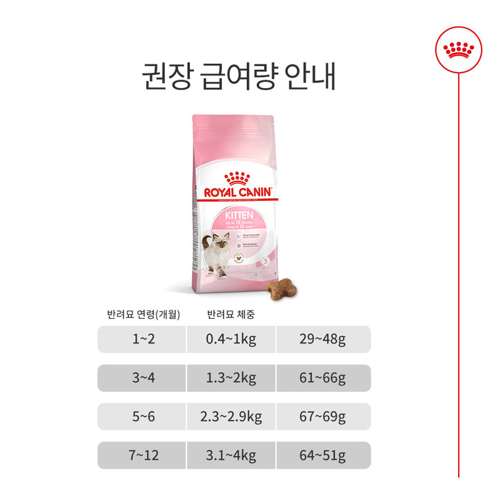 로얄캐닌 키튼 4kg 면역기능 강화