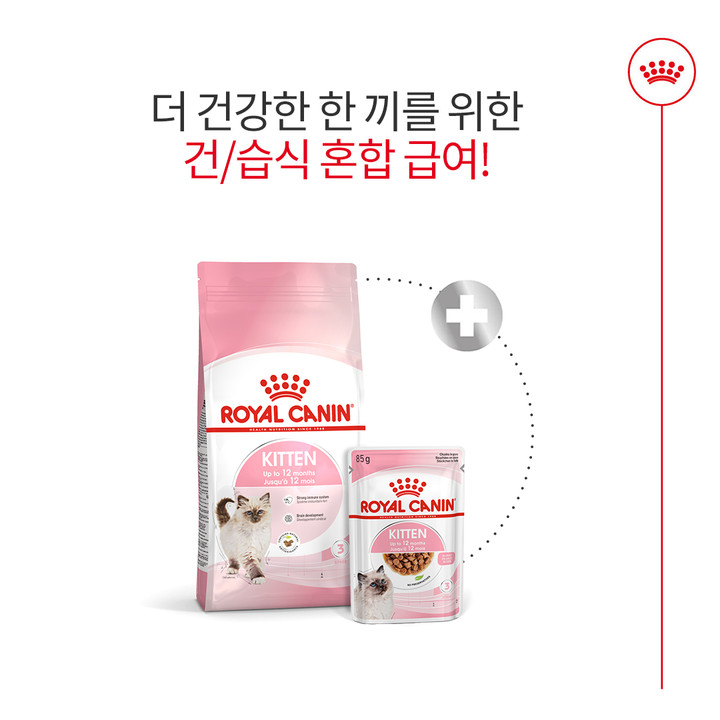 로얄캐닌 키튼 4kg 면역기능 강화