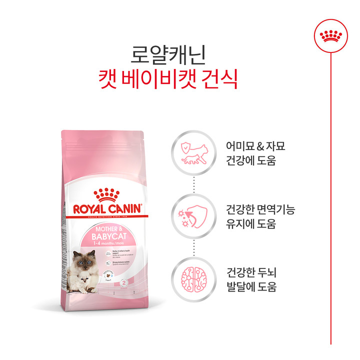 로얄캐닌 마더&베이비캣 4kg 면역증진