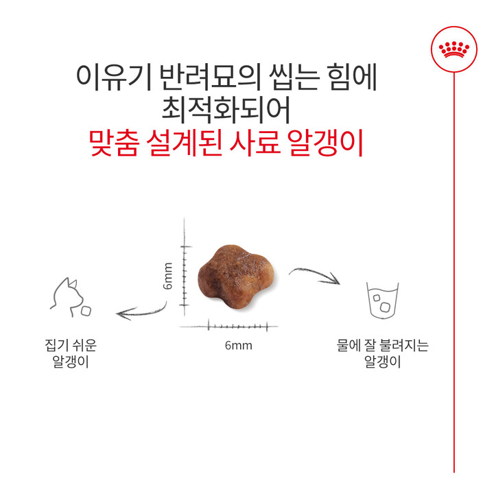 로얄캐닌 마더&베이비캣 4kg 면역증진