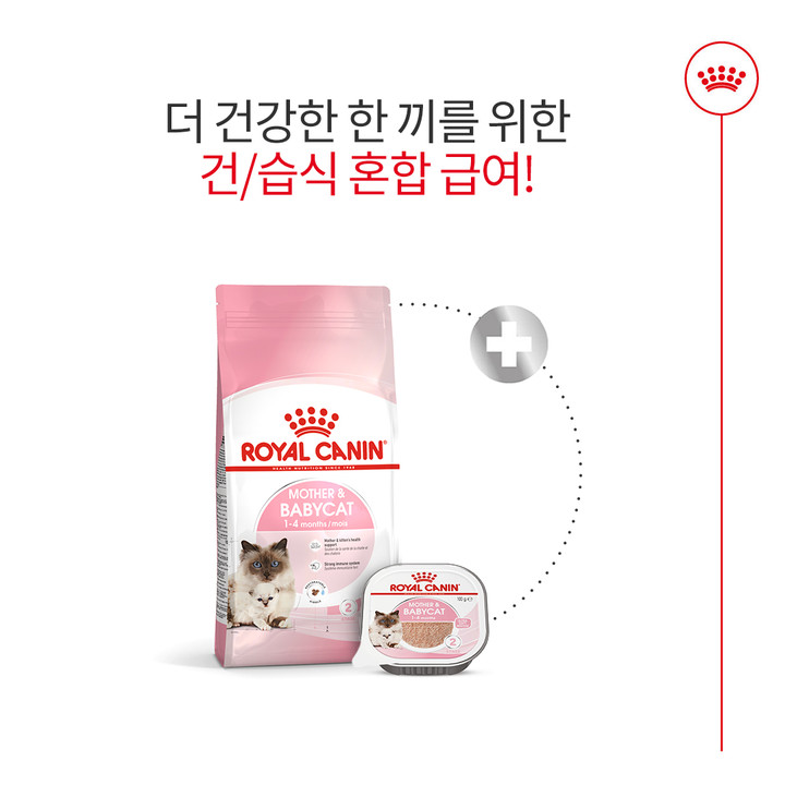 로얄캐닌 마더&베이비캣 4kg 면역증진