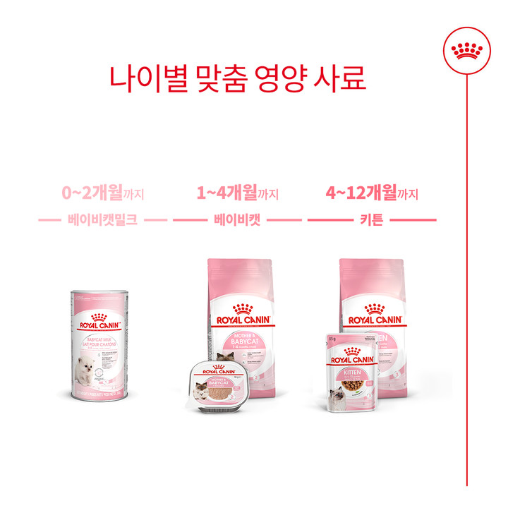 로얄캐닌 마더&베이비캣 4kg 면역증진