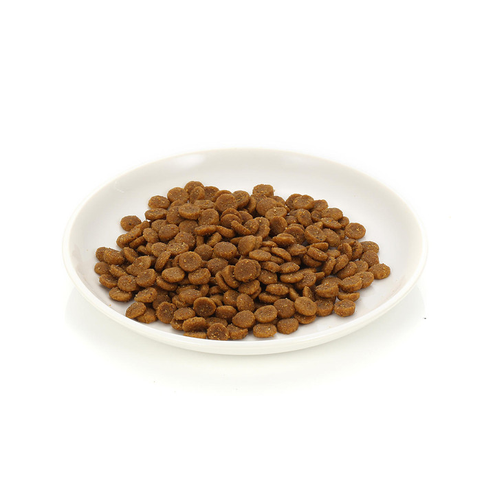 힐스 고양이 어덜트 2kg