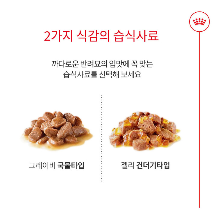 로얄캐닌 인도어 7+ 젤리 파우치 85g 변냄새 감소