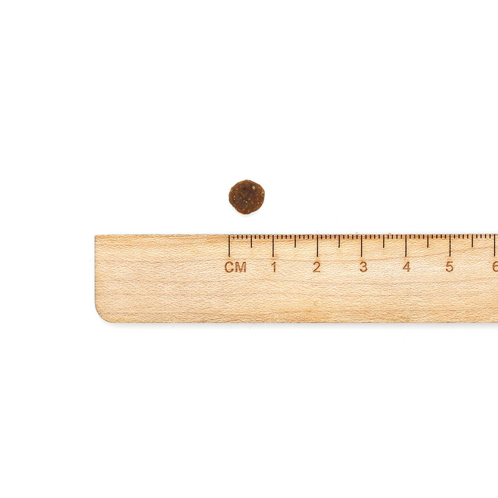 go! 스킨앤코트 연어 1.3kg