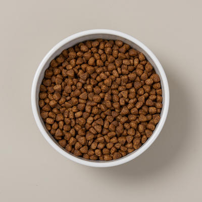 ANF 캣 홀리스틱 헬시웨이트 40g