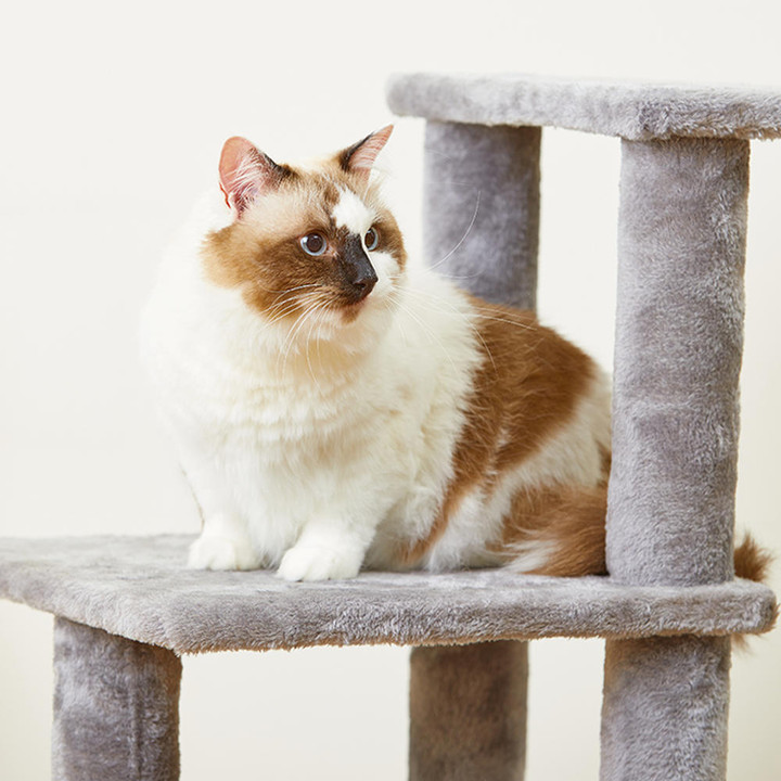 펫토리아 한층뚝딱 플러시 4단 캣타워 그레이