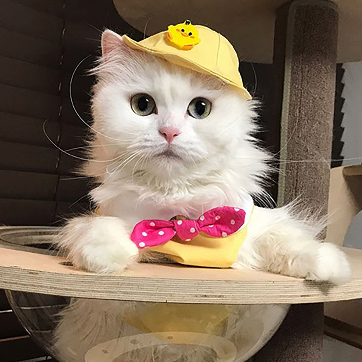 펫츠앤미 유치원 스카프 핫핑크 땡땡이 리본