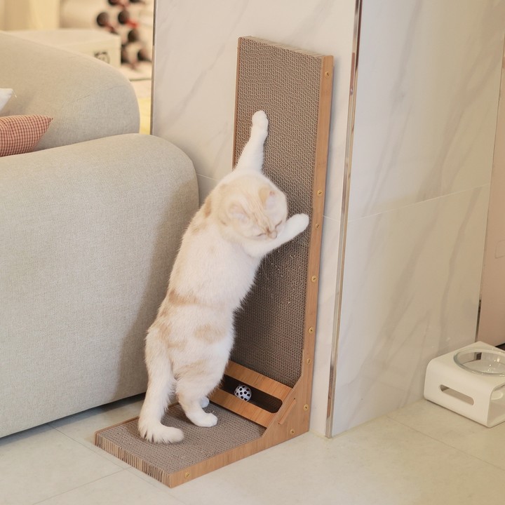 아토주 엘라인 수직 스크래쳐