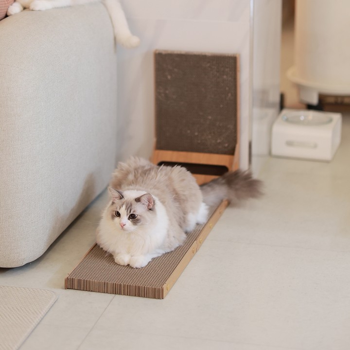 아토주 엘라인 수직 스크래쳐