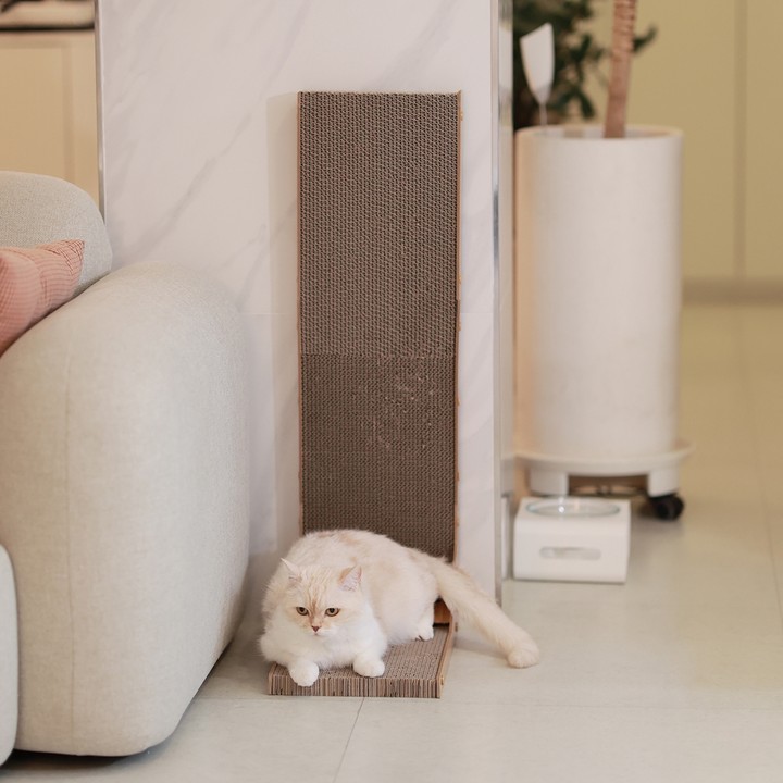 아토주 엘라인 수직 스크래쳐