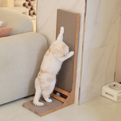 아토주 엘라인 수직 스크래쳐