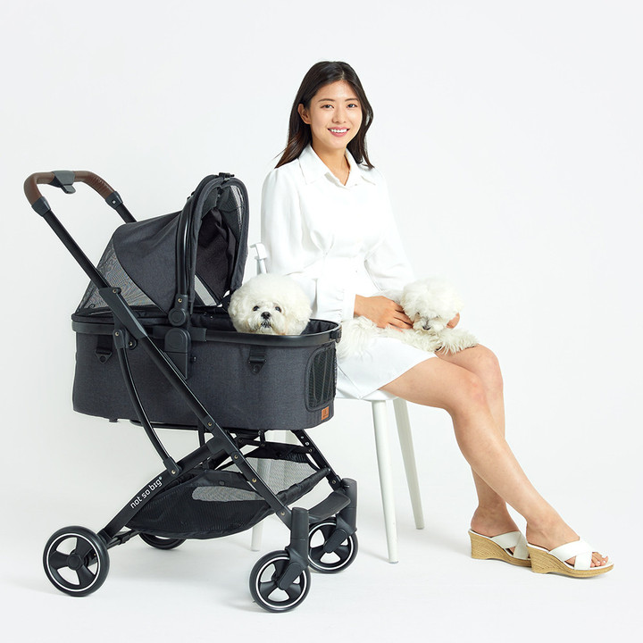 낫쏘빅 아로아플러스 분리형 유모차 럭스그레이