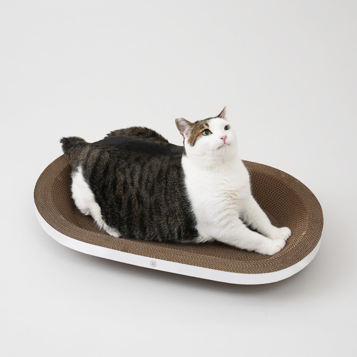 반려양품 스크래쳐 와이드타원형 (특대형)