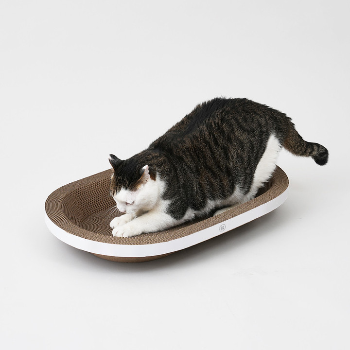 반려양품 스크래쳐 와이드타원형 (특대형)