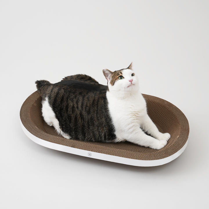 반려양품 스크래쳐 와이드타원형 (특대형)