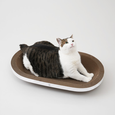 반려양품 스크래쳐 와이드타원형 (특대형)