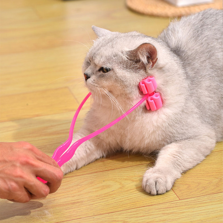 크레용펫 야옹 롤러 마사지