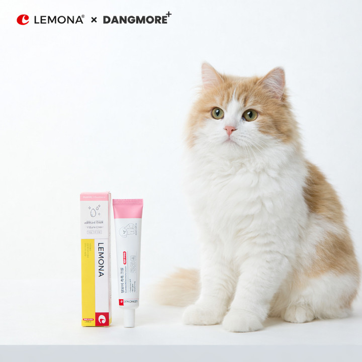 레모나 X 댕모어 촉촉 크림 40ml