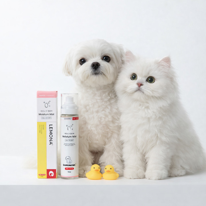 레모나 X 댕모어 촉촉 크림 40ml