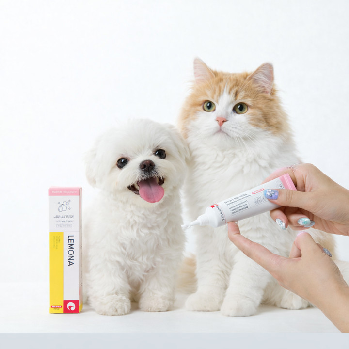 레모나 X 댕모어 촉촉 크림 40ml