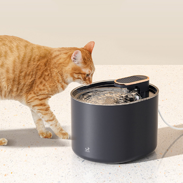 딩동펫 반려동물 클라인 스마트 애완급수기