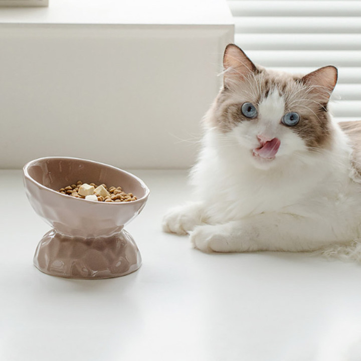 딩동펫 반려동물 트윙클 도자기 보울 식기