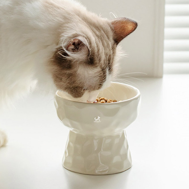 딩동펫 반려동물 트윙클 도자기 보울 식기