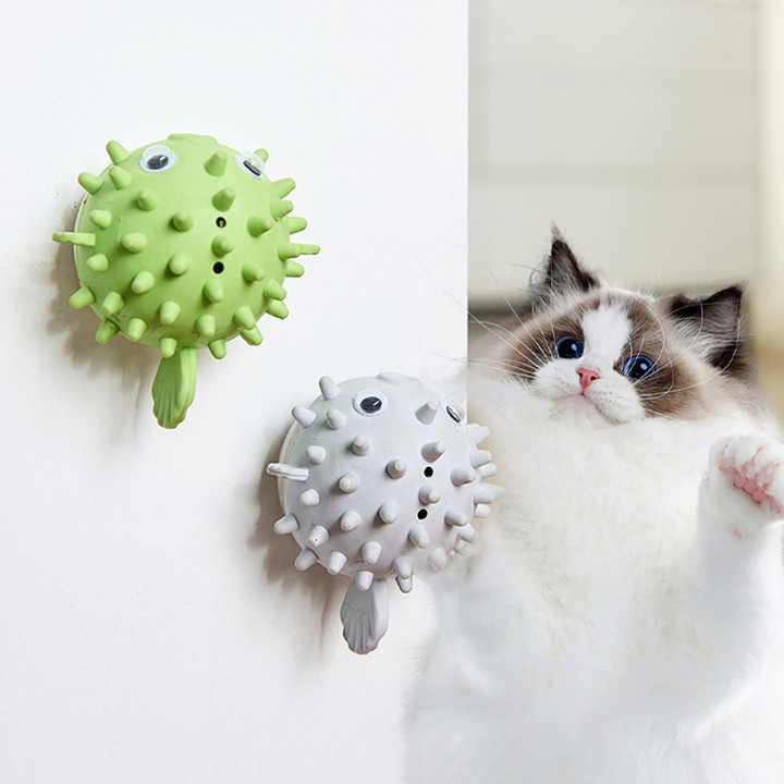 딩동펫 캣닢 그루밍 장난감 2종세트