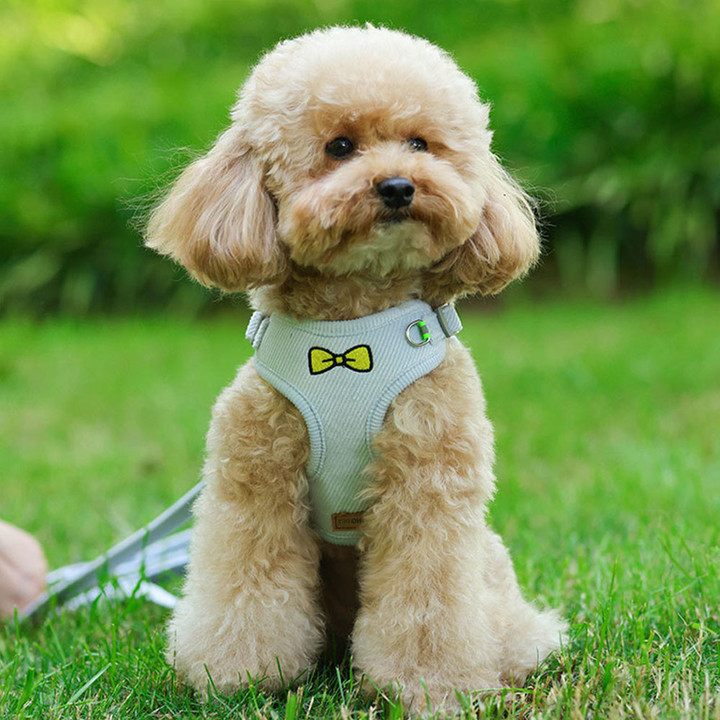 딩동펫 벨벳 리본 하네스 리드줄