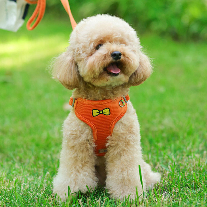 딩동펫 벨벳 리본 하네스 리드줄