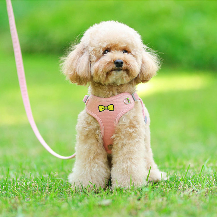 딩동펫 벨벳 리본 하네스 리드줄