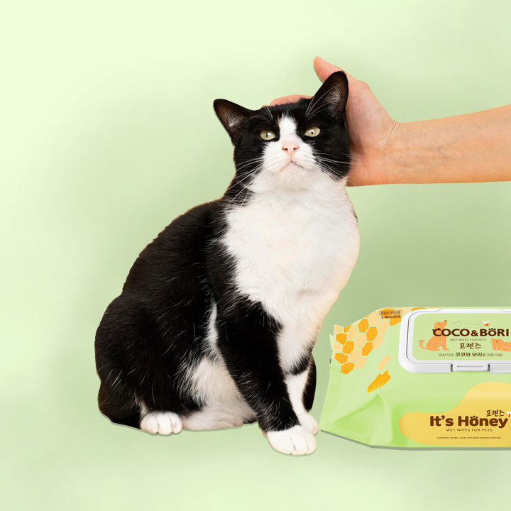 코코와보리 잇츠허니 프렌즈 물티슈 80매 캡형 5팩