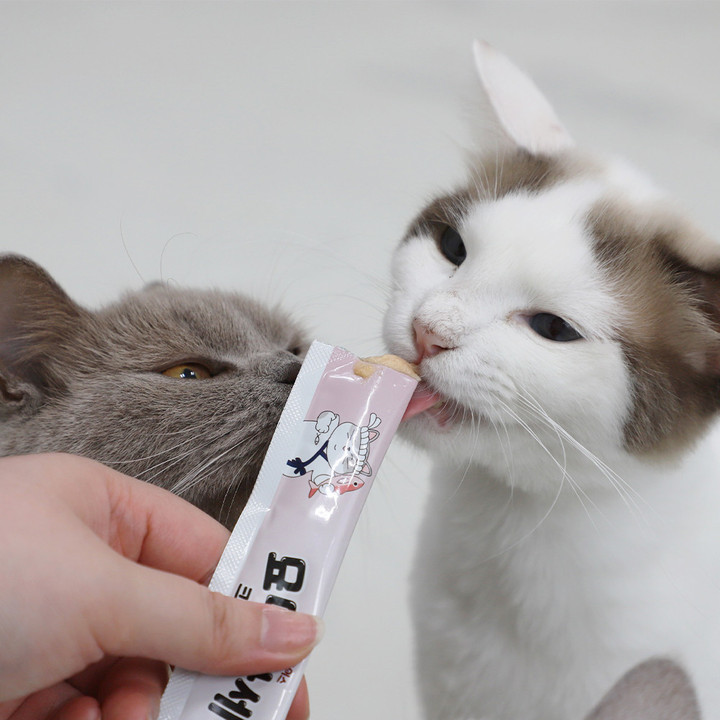 펫모닝 묘마카세 크리미 연어 4개입