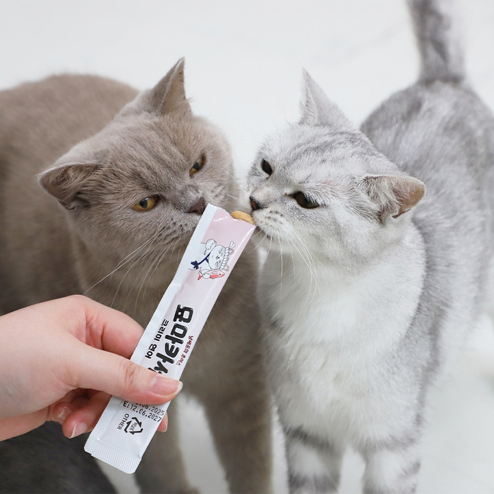 펫모닝 묘마카세 크리미 연어 4개입