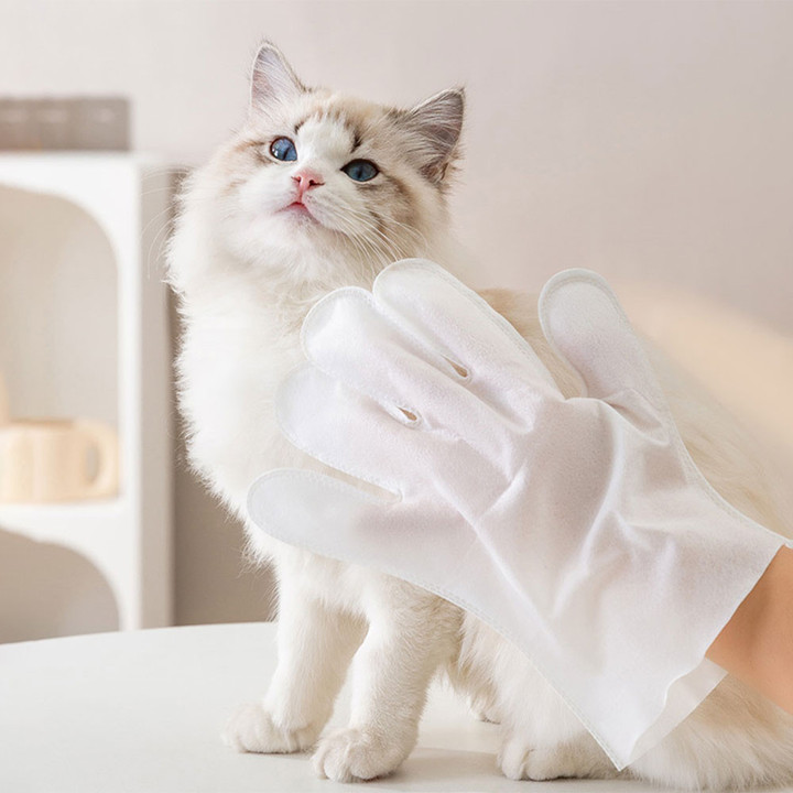 크레용펫 장갑형 바디티슈 6매