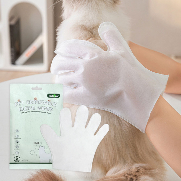 크레용펫 장갑형 바디티슈 6매